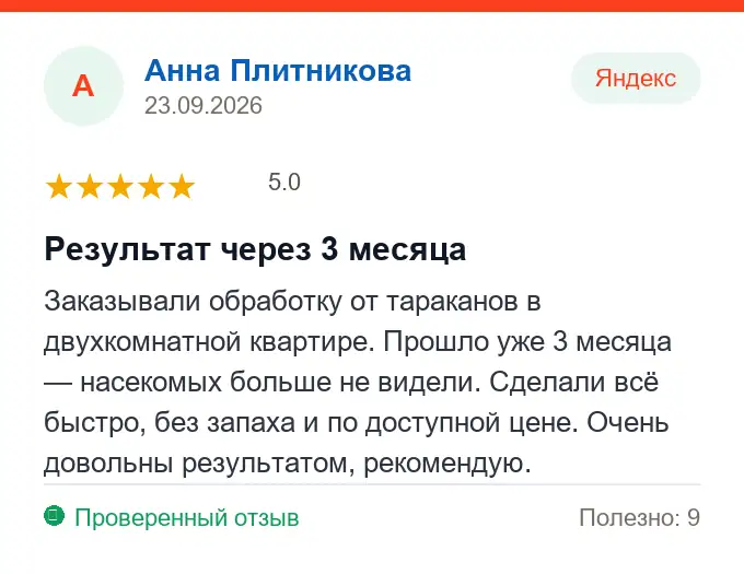Отзыв Анна Плитникова: Результат через 3 месяца